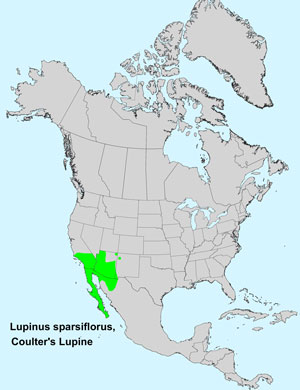 North America species range map for Coulter's Lupine Lupinus sparsiflorus:
